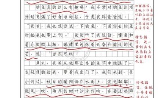 在尝试中成长作文怎么写_如何在尝试中成长600字