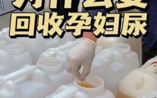 孕妇尿液味道很重_正常吗