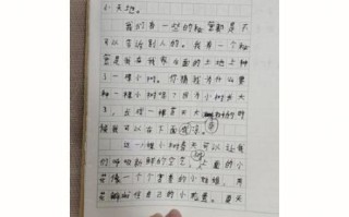我的小秘密作文怎么写_小学生写作技巧
