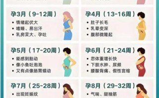 孕妇多少周不能坐高铁_高铁对孕妇的限制周数