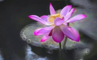 折返镜头哪款好_折返镜头推荐2024