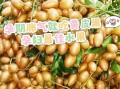 孕妇消食吃什么好_孕妇胃胀吃什么能缓解