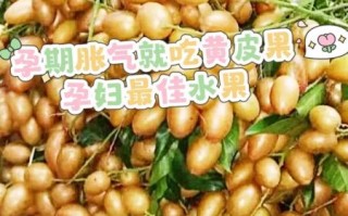 孕妇消食吃什么好_孕妇胃胀吃什么能缓解