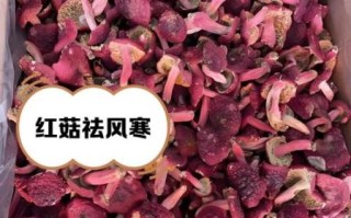 孕妇能吃红菇吗_红菇对孕妇的好处