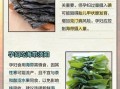 孕妇能吃海带吗_孕妇吃海带注意事项