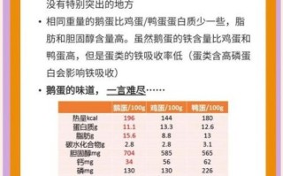 孕妇吃鹅蛋有什么好处_孕妇吃鹅蛋的最佳时间