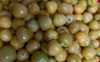 姑娘果孕妇可以吃吗_姑娘果对胎儿有影响吗