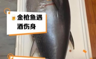孕妇能吃金枪鱼吗_孕期吃金枪鱼安全吗