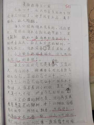美丽的地方作文300字怎么写_有哪些写作技巧