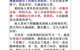仙人掌怎么写作文_仙人掌作文300字怎么扩展