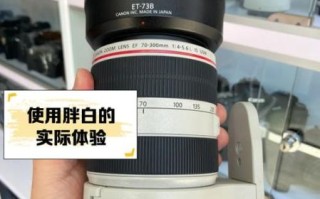 佳能70-300镜头值得买吗_画质锐度如何