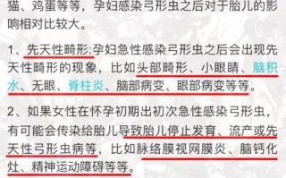 孕妇可以养猫吗_弓形虫感染风险