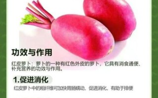 孕妇能吃红皮水萝卜吗_红皮水萝卜孕期禁忌