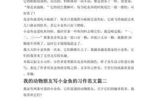 怎么写动物作文_描写小动物有哪些技巧