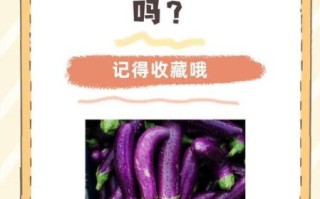 孕妇不能吃茄子吗_孕妇吃茄子的禁忌