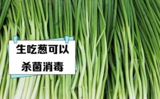 孕妇能吃葱吗_怀孕吃葱对胎儿好吗