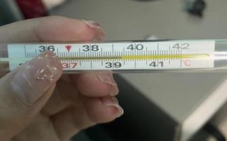 孕妇正常体温范围_孕妇体温37.2度正常吗