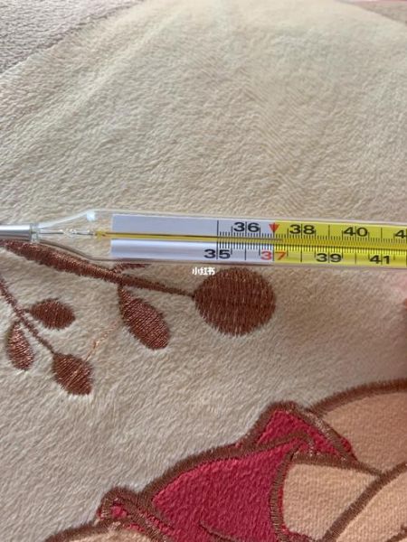 孕妇体温多少算正常_孕妇体温37.3℃需要去医院吗-第1张图片-星辰妙记