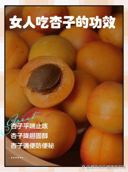 孕妇能吃杏吗_孕妇吃杏的注意事项-第2张图片-星辰妙记