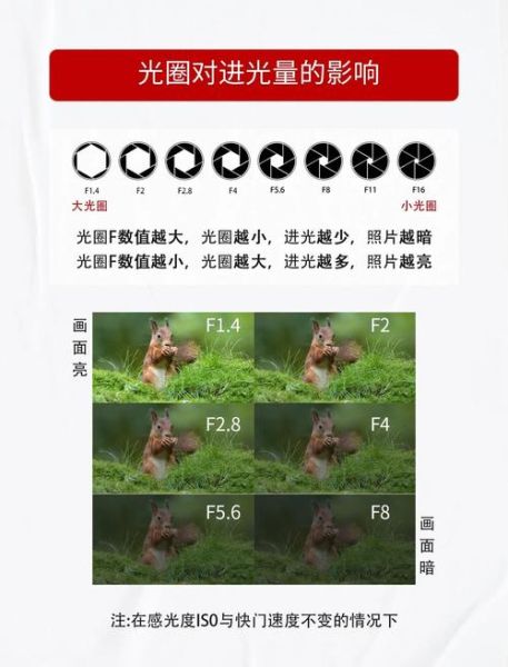 镜头光圈t值是什么_如何影响曝光-第2张图片-星辰妙记