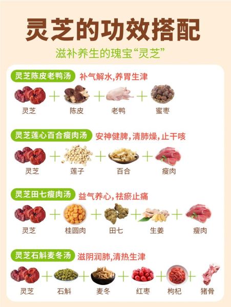 灵芝孕妇能吃吗_孕期吃灵芝安全吗-第1张图片-星辰妙记