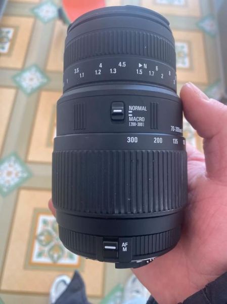 佳能70-300镜头值得买吗_佳能70-300镜头适合拍什么-第1张图片-星辰妙记