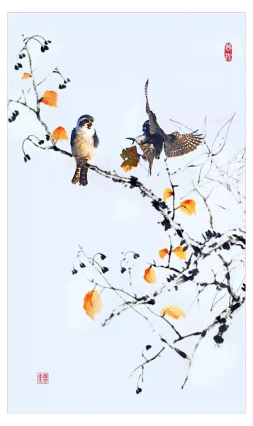 写意镜头怎么拍_如何用手机拍出写意效果-第3张图片-星辰妙记