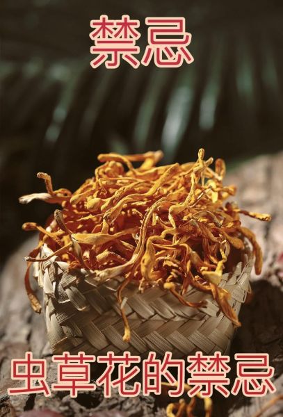 孕妇可以吃虫草花吗_孕期吃虫草花注意事项-第3张图片-星辰妙记
