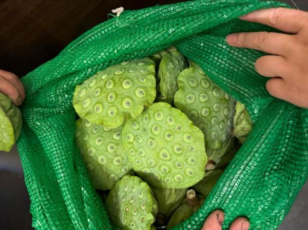 莲蓬孕妇可以吃吗_孕妇吃莲蓬的注意事项-第2张图片-星辰妙记