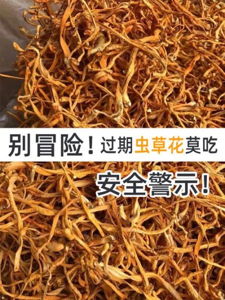 孕妇可以吃虫草花吗_孕期吃虫草花注意事项-第2张图片-星辰妙记