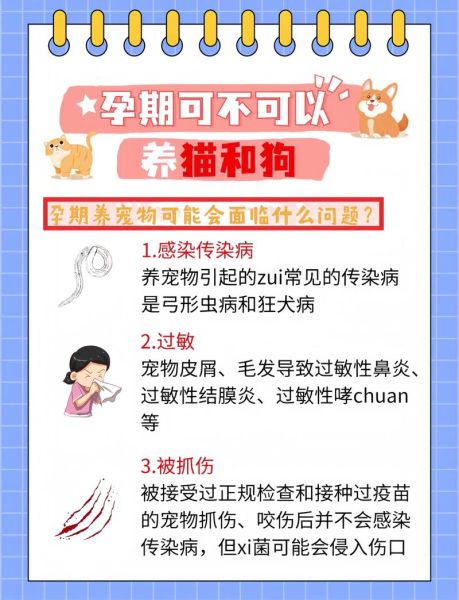 孕妇弓形虫检查方法_孕期感染筛查流程-第3张图片-星辰妙记