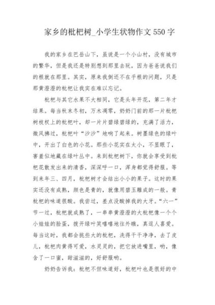 枇杷树作文怎么写_枇杷树作文写作技巧-第3张图片-星辰妙记