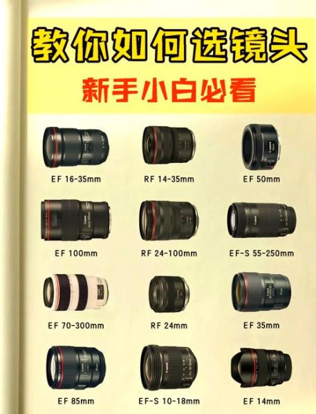 相机镜头怎么选_镜头焦距怎么区分-第2张图片-星辰妙记