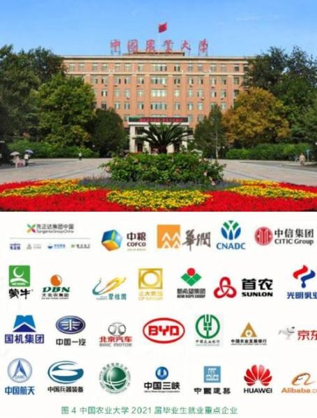 中国农业大学是985还是211_985和211区别-第3张图片-星辰妙记