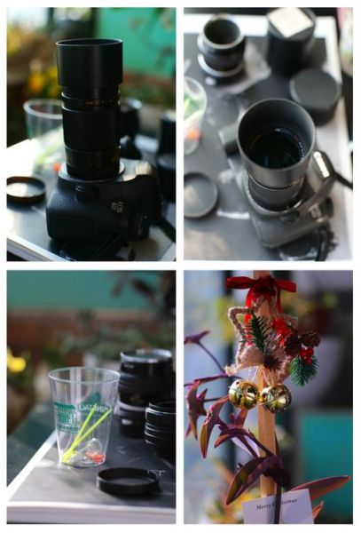 绿圈镜头是什么_绿圈镜头适合拍什么-第2张图片-星辰妙记