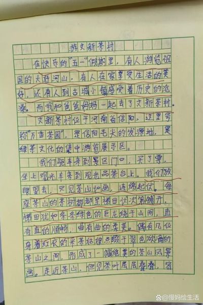 乡村旅游怎么写_乡村旅游作文开头怎么写-第1张图片-星辰妙记