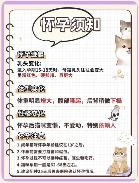 孕妇可以养猫吗_怀孕养猫注意事项-第1张图片-星辰妙记