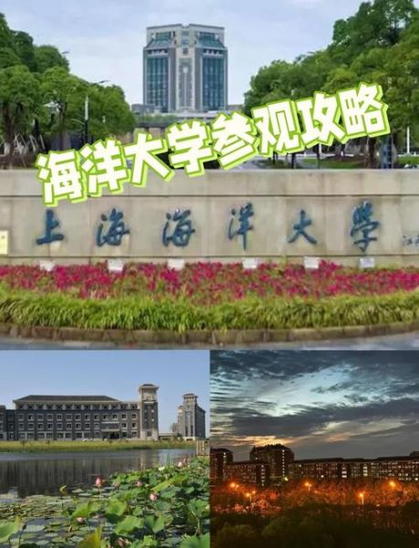 上海海洋大学地址在哪里_上海海洋大学怎么去-第1张图片-星辰妙记