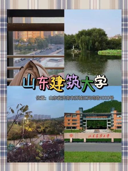 山东大学地址在哪里_山东大学有几个校区-第2张图片-星辰妙记