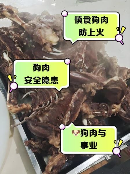 孕妇能吃狗肉吗_孕期饮食禁忌-第1张图片-星辰妙记