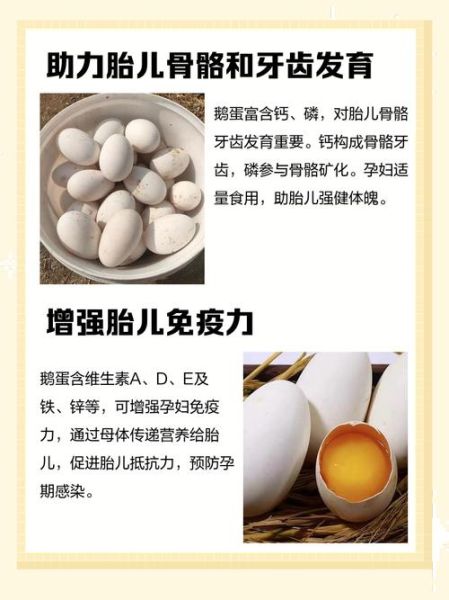 孕妇几天吃一个鹅蛋好_鹅蛋对胎儿有什么好处-第1张图片-星辰妙记