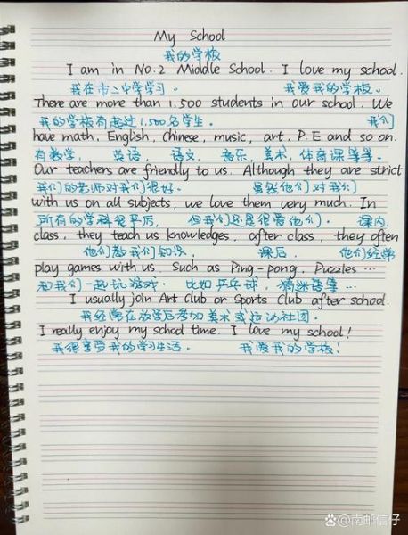 my_school_essay_example-第1张图片-星辰妙记