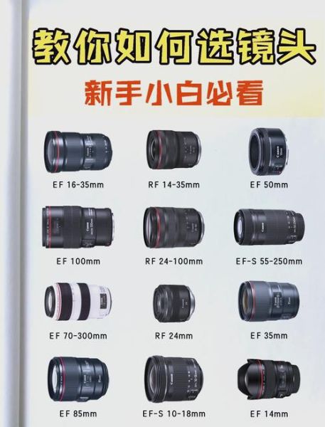 如何挑选高性价比镜头_镜头评测看什么参数-第2张图片-星辰妙记