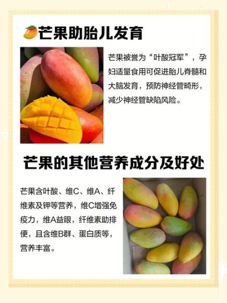 孕妇可以吃芒果吗_孕妇吃芒果对胎儿好吗-第2张图片-星辰妙记