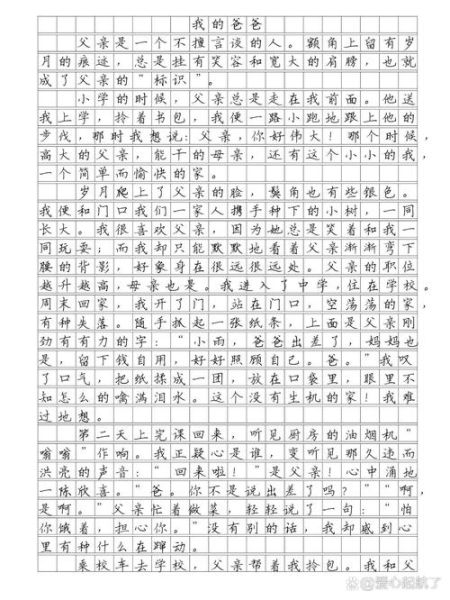 我的爸爸是个怎样的人_如何写好我的爸爸200字作文-第3张图片-星辰妙记