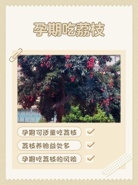 孕妇可以吃荔枝吗_孕妇吃荔枝注意事项-第1张图片-星辰妙记