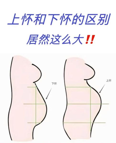 孕妇肚子大小正常吗_孕期肚子变化图解-第1张图片-星辰妙记