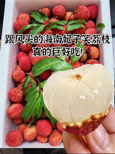 孕妇梦见买荔枝是什么意思_孕期梦见买荔枝生男生女-第2张图片-星辰妙记 孕妇梦见买荔枝是什么意思_孕期梦见买荔枝生男生女-第2张图片-星辰妙记