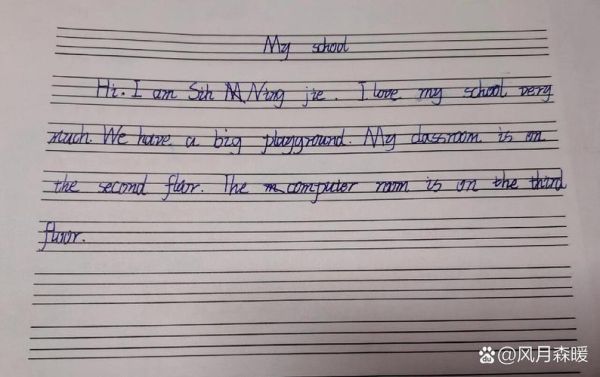 how_to_write_myschool_essay_in_english-第3张图片-星辰妙记