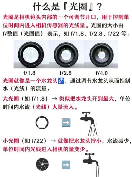 如何去除镜头眩光_镜头眩光后期修复方法-第3张图片-星辰妙记